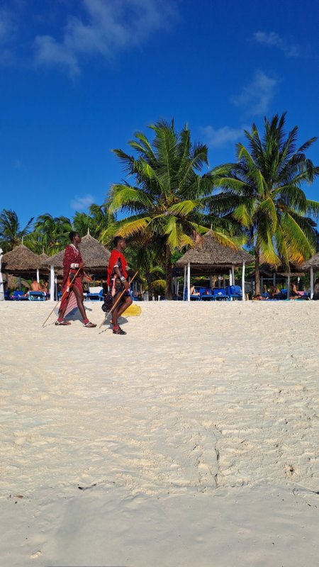 Kendwa plaža na Zanzibaru sa belim peskom, palmama i velikim krošnjama koje prave hlad